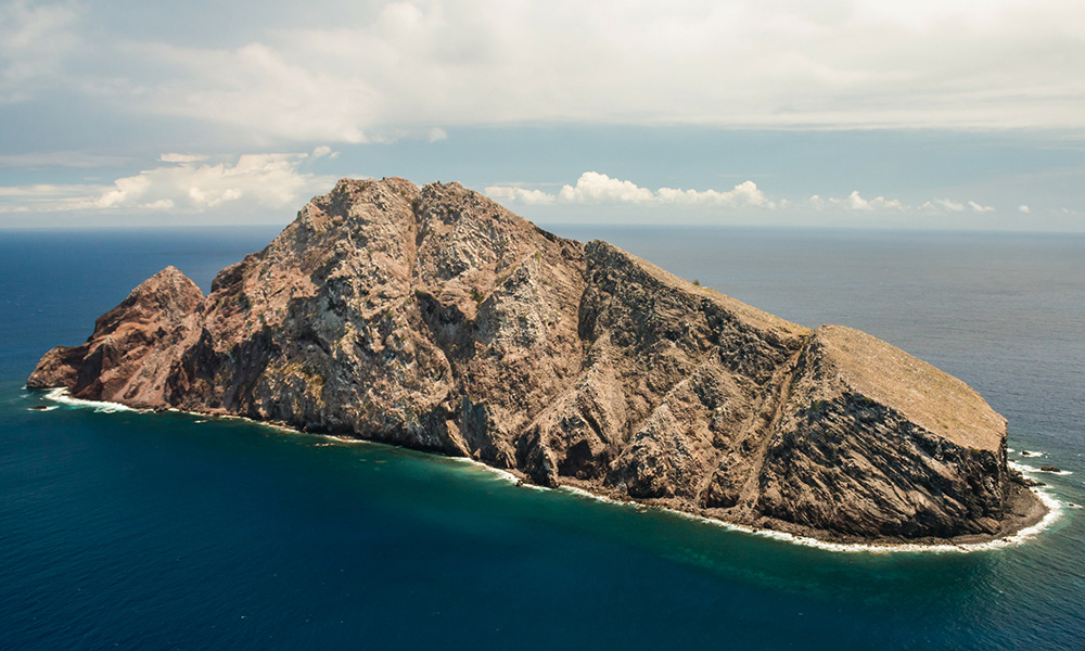 island-conservation-invasive-species-preventing-extinctions-redonda-island