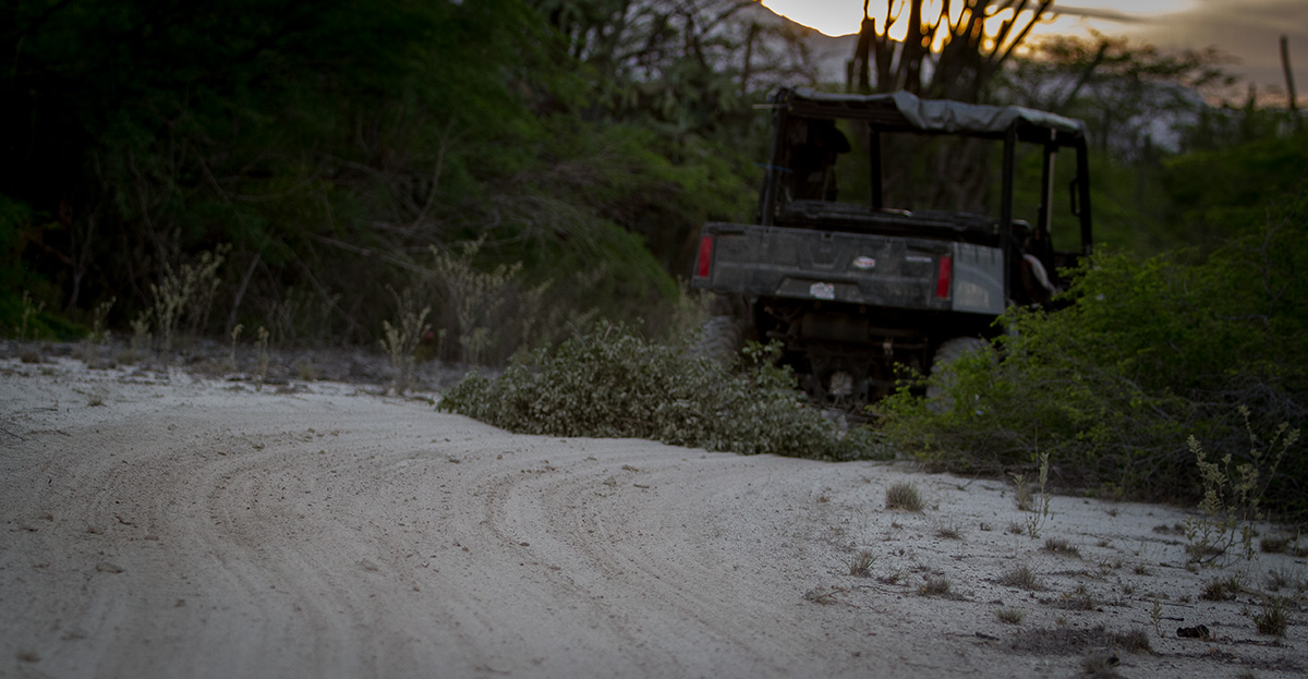 island conservation science watch dominican republic cabritos island video wes jolley