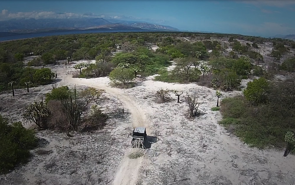 island conservation science watch video wes jolley cabritos island dominican republic