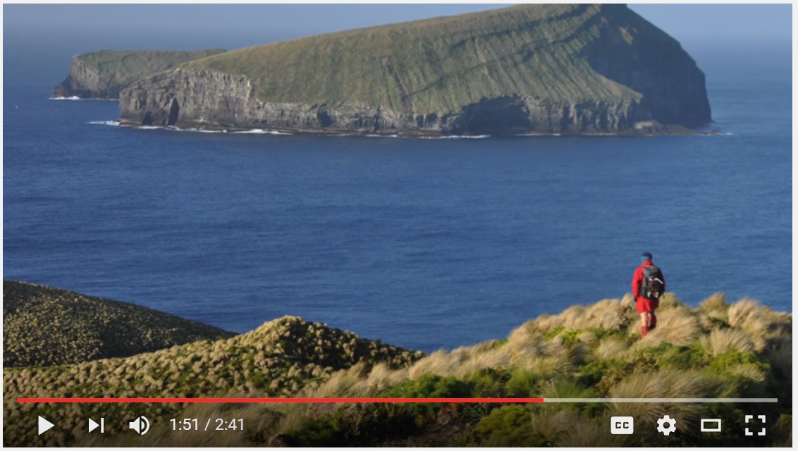 Island-conservation-science-antipodes-island-new-zealand-video