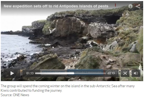 Island-Conservation-Science-One-News-Now-Antipodes-New-Zealand