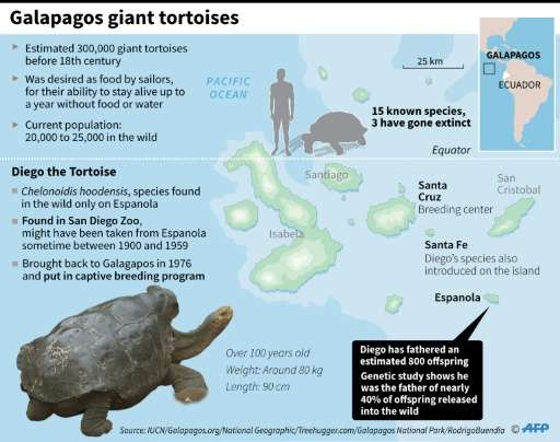 Island Conservation Prolific Giant Tortoise "Diego" Saves His Species ...