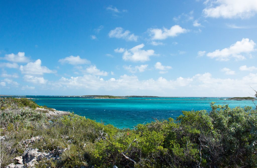 island conservation rochelle newbold lynn gape bahamas