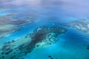 island-conservation-invasive-species-preventing-extinctions-Great-Barrier-Reef