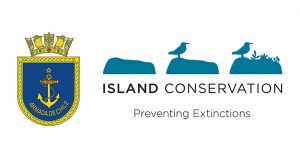 island-conservation-invasive-species-preventing-extinction-chilean-navy-san-ambrosio