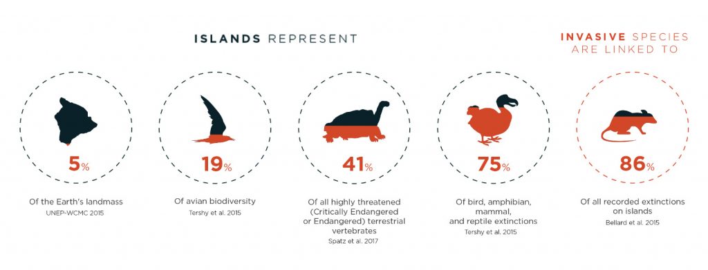 island-conservation-invasive-species-preventing-extinctions-infographic