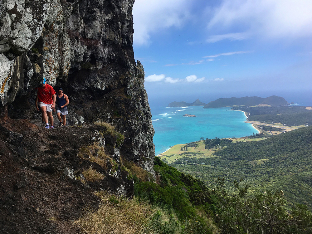 island-conservation-invasive-species-preventing-extinction-lord-howe-island-conservation-volunteer-opportunity