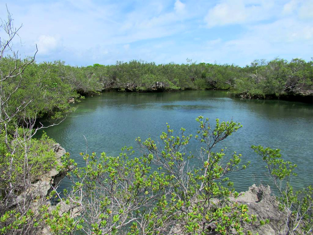 island-conservation-invasive-species-preventing-extinctions-aldabra-island-seychelles-archipelago