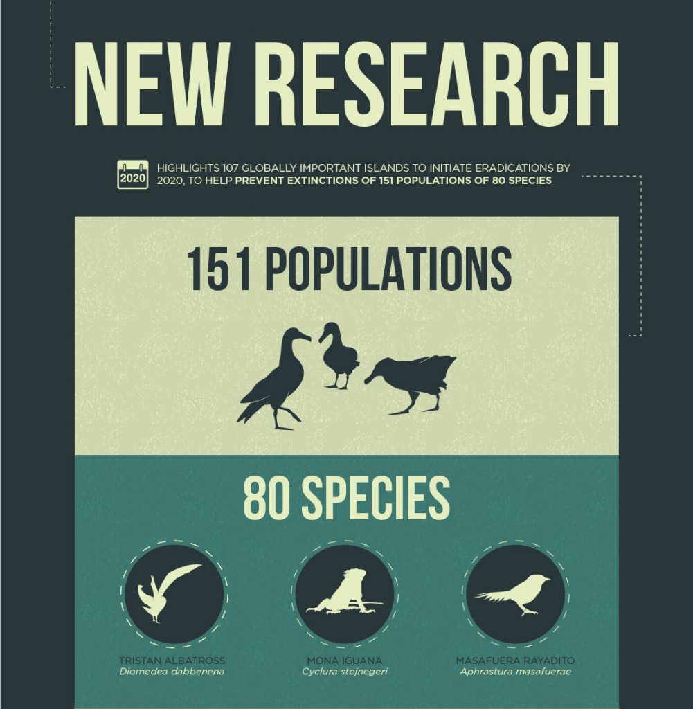 island-conservation-invasive-species-preventing-extinctions-nick-holmes-islands-research-80-species