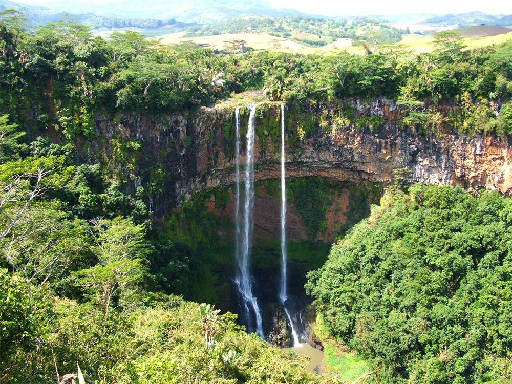 island-conservation-invasive-species-preventing-extinctions-Mauritius-conservation-research