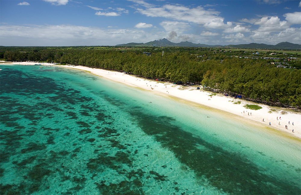 island-conservation-invasive-species-preventing-extinctions-Mauritius-conservation-research