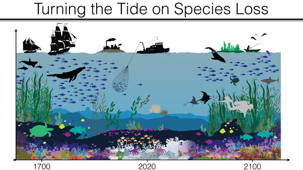 genetic-biocontrol-invasive-rodents-program-island-conservation-turning-tide-species-loss