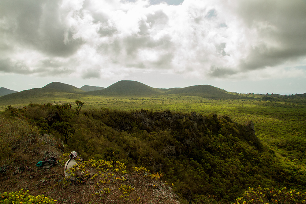 island-conservation-invasive-species-preventing-extinctions-floreana-island-169-islands-nick-holmes