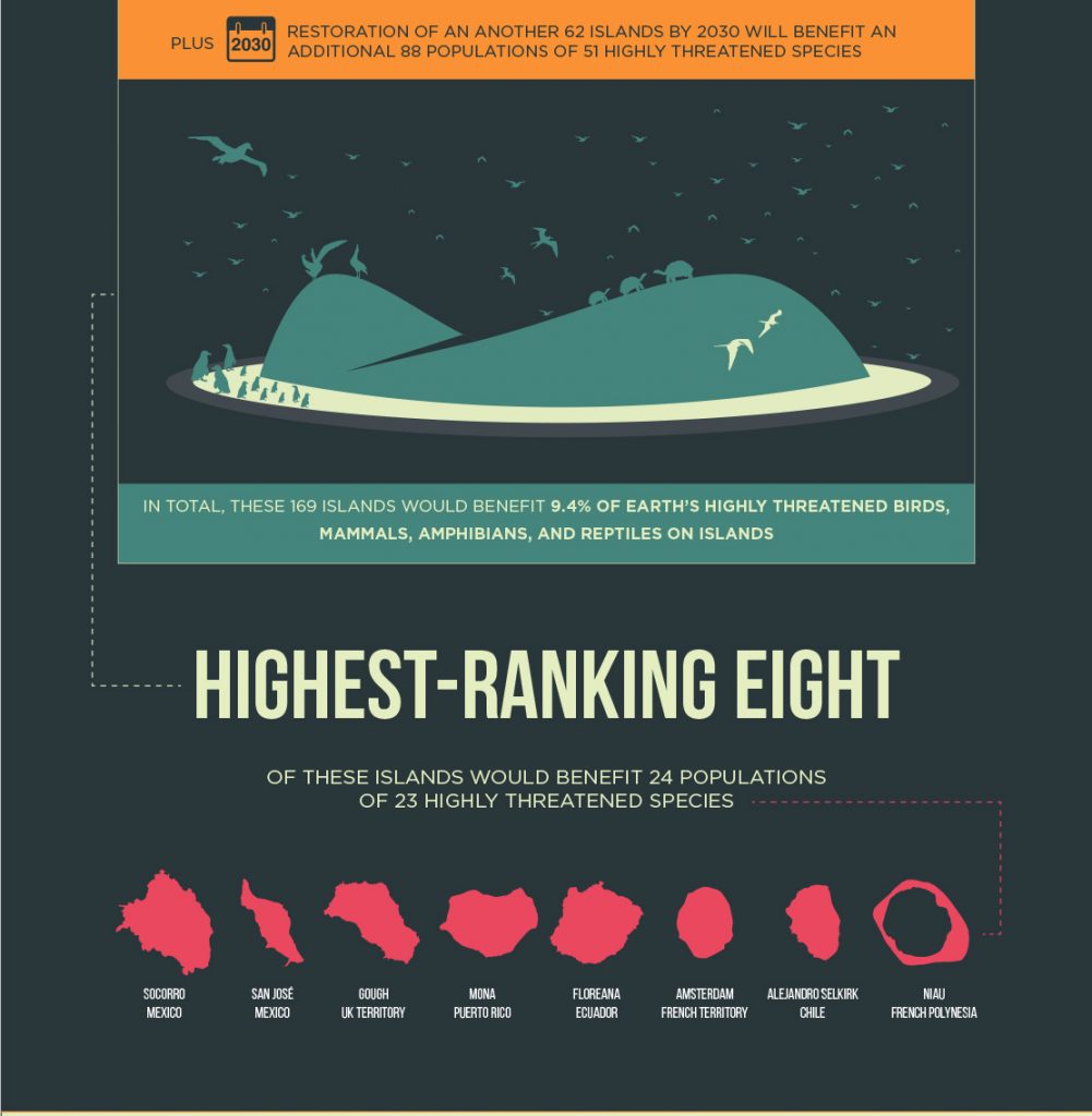 island-conservation-invasive-species-preventing-extinctions-107-islands-research-restoration-PLOS-ONE-nick-holmes-eight-islands