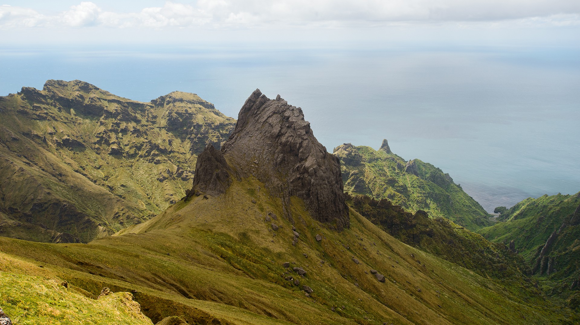 New Research: Eight Priority Islands for Restoration