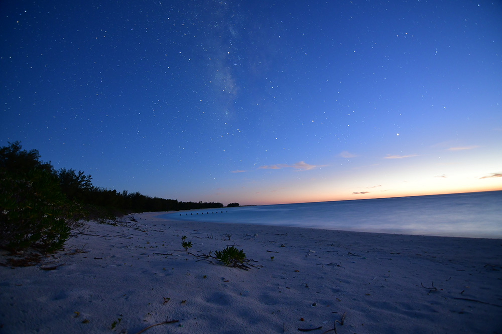 island-conservation-invasive-species-preventing-extinctions-amanda-boyd-midway-atoll-beach