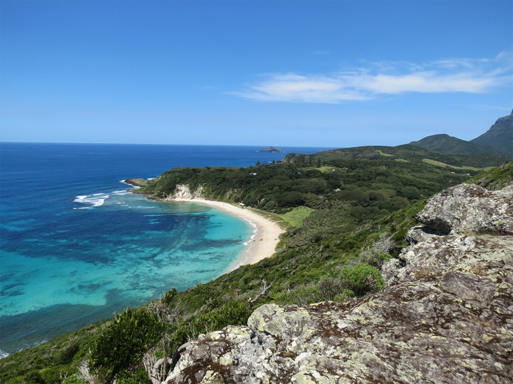 island-conservation-preventing-extinctions-invasive-species-lord-howe-island-restoration-complete