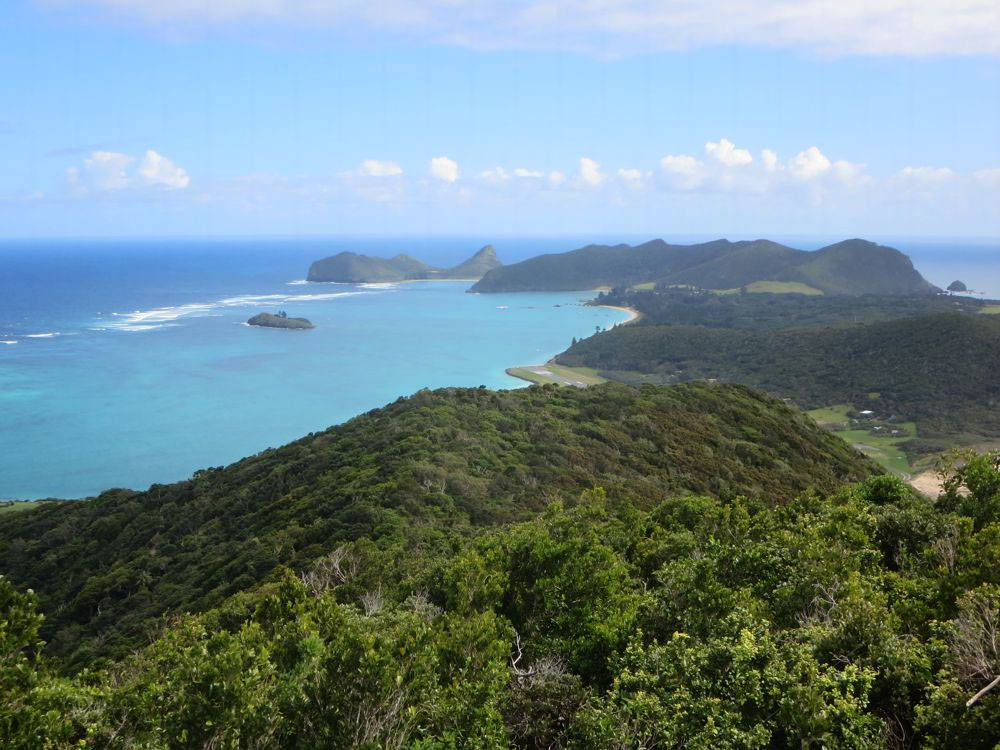 island-conservation-preventing-extinctions-lord-howe-island