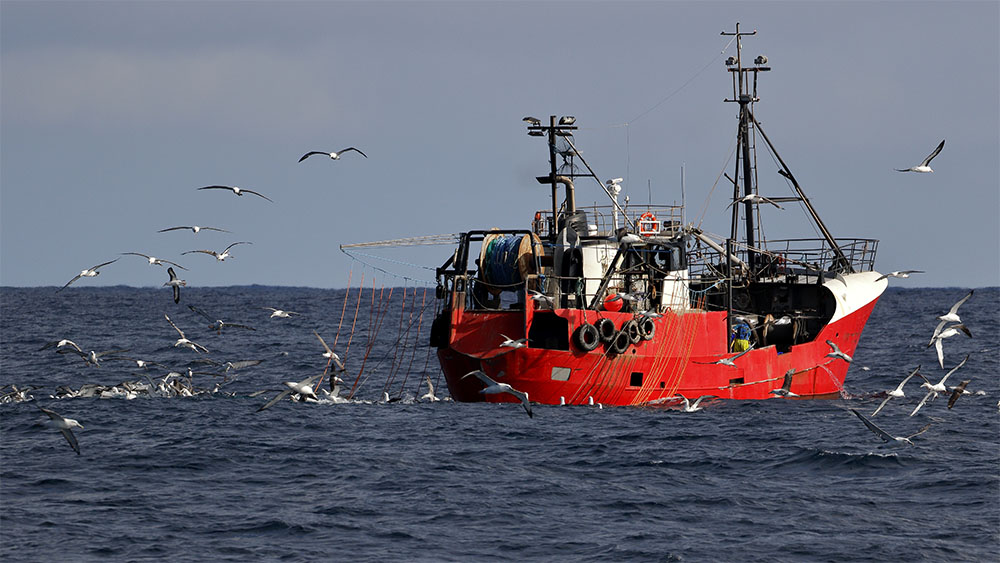 island-conservation-invasive-species-preventing-extinctions-albatross-fishing-vessel