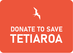 island-conservation-tetiaroa-donate-save-coral-reefs