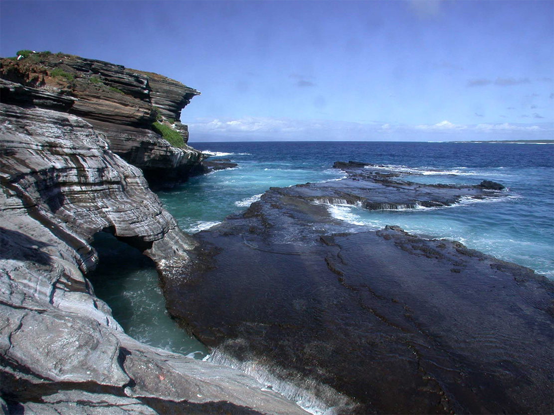 island conservation lehua island restoration lehua island intertidal connecting island ocean conservation