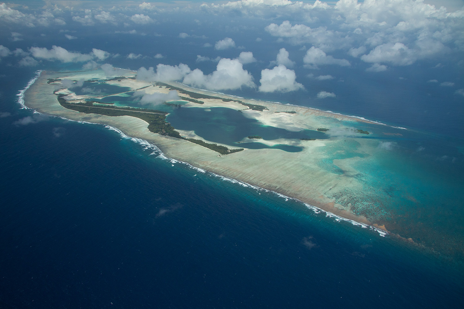 Island Conservation Palmyra atoll by Erik Oberg