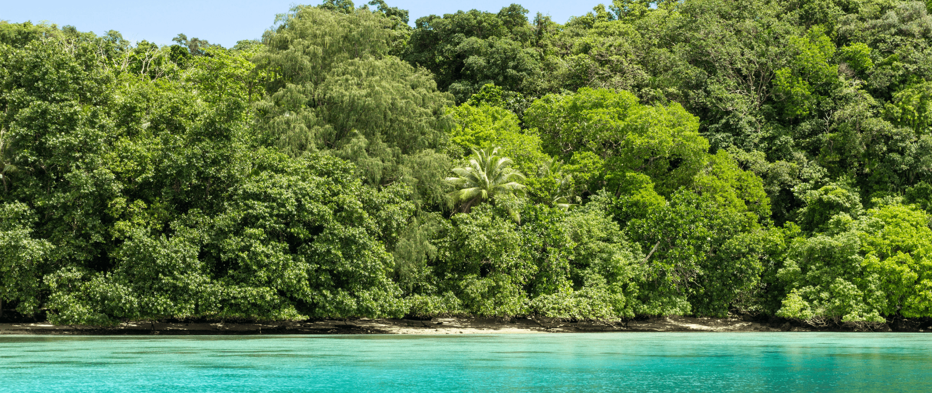 Conservation and Ecosystem Recovery on Ngeanges Island, Palau