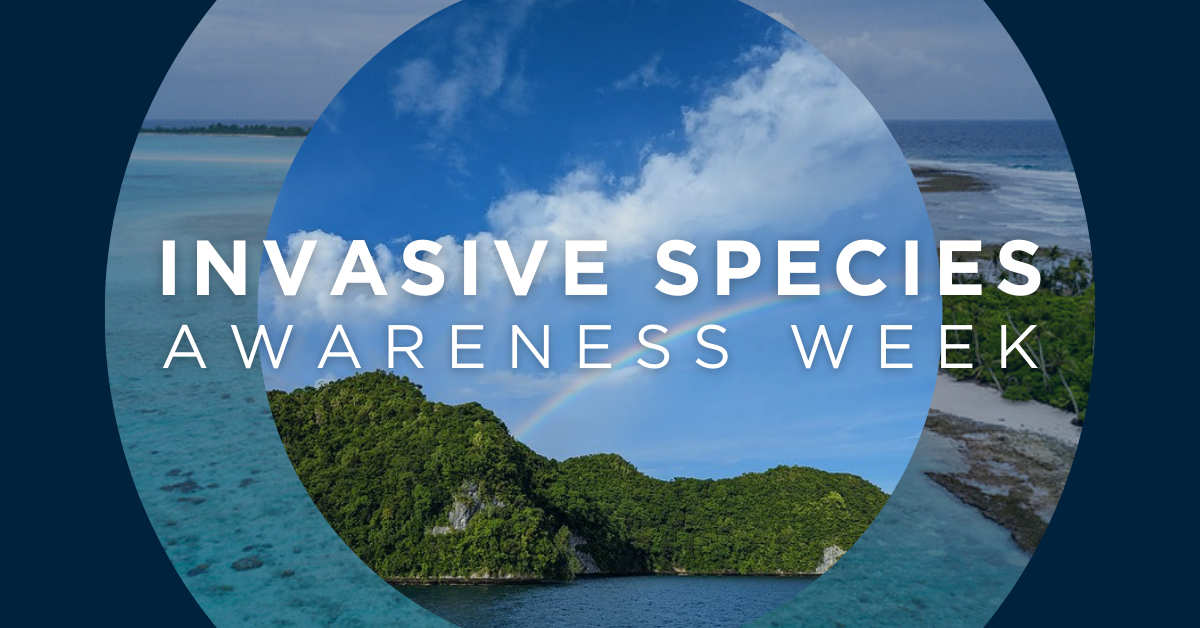 Island Conservation Invasive Species Awareness Week - Island Conservation