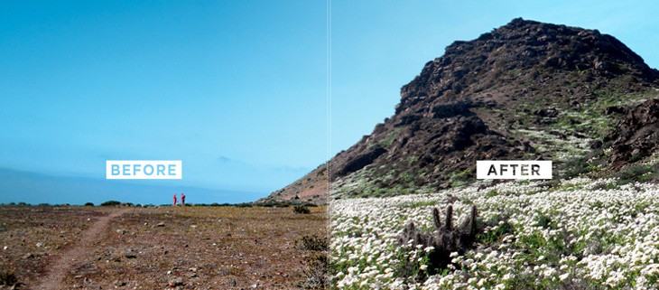 Choros Island, Chile: Before and After Restoration